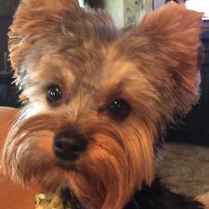 Meet your Posher, Vicki